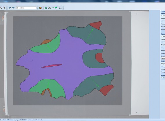 PhotoTrace vectorization of leather with quality and direction zone